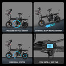 Electric Bicycle A9 500W 48V With Front Brake Backrest And Phone Charging Holder