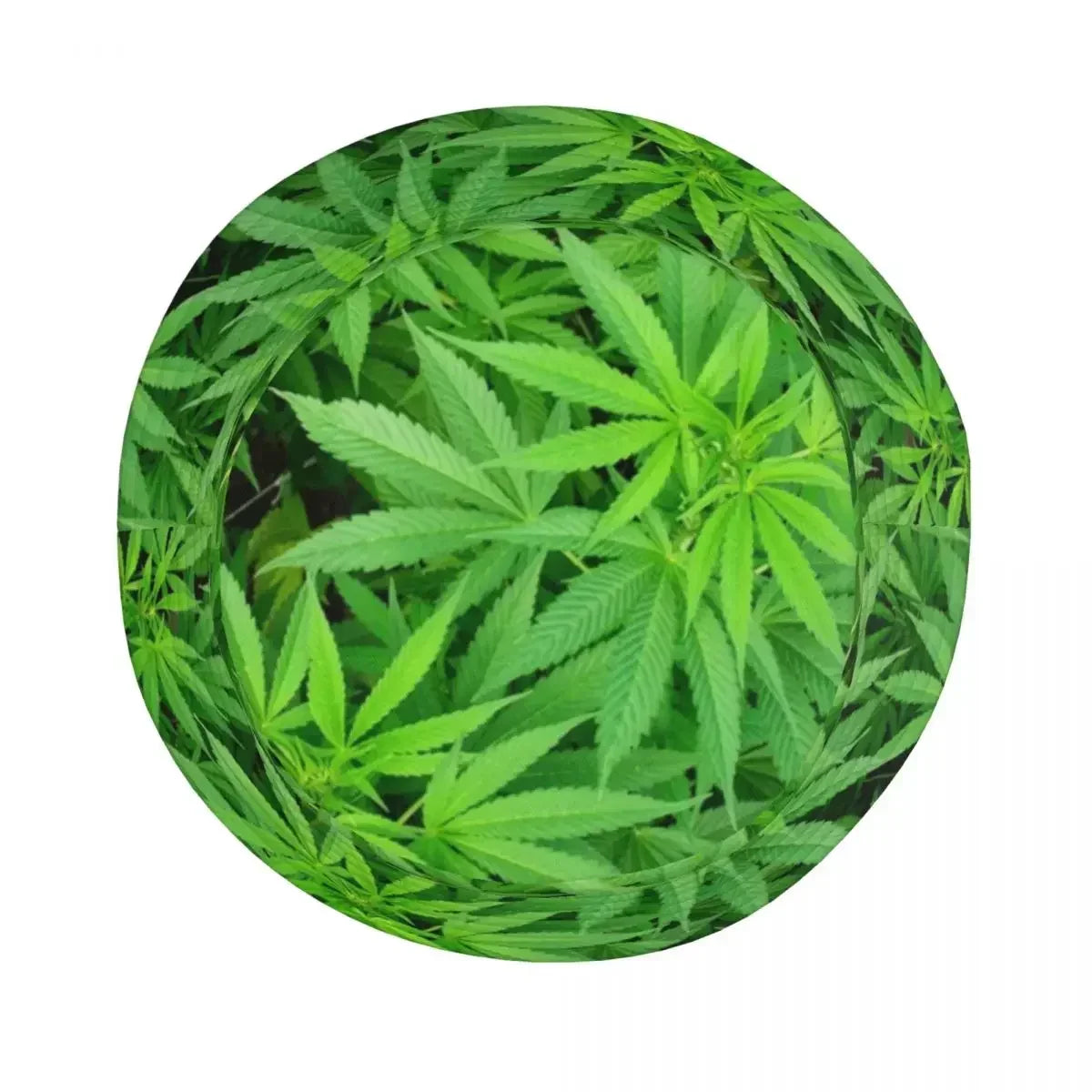 Cannabis Leaf Bucket Hat