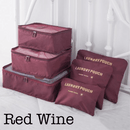 6 Piece Travel Organizer